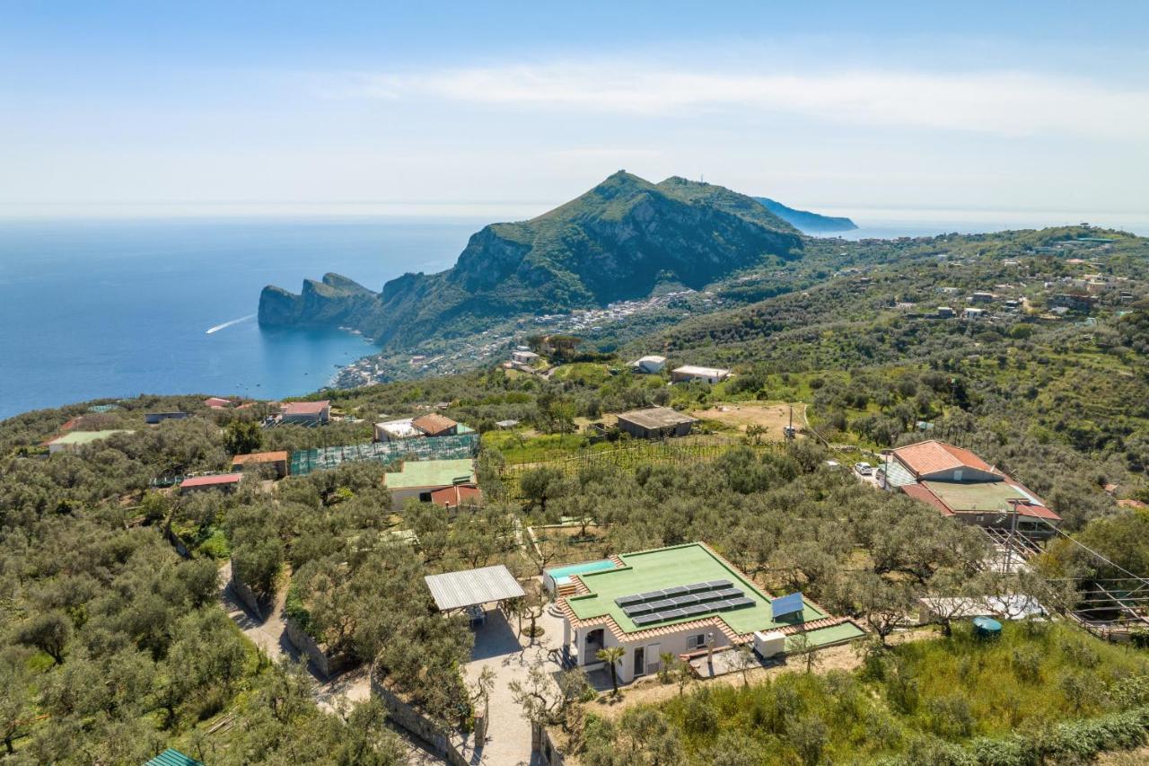 Villa Rusinella Minimalist Retreat With Sea Views 马萨鲁布朗斯 外观 照片